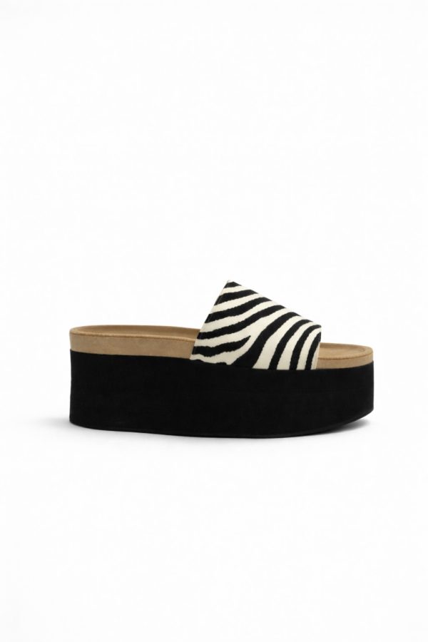 Lola zebra – pre venta